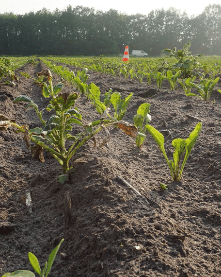 ecoRobotix spotsprayer